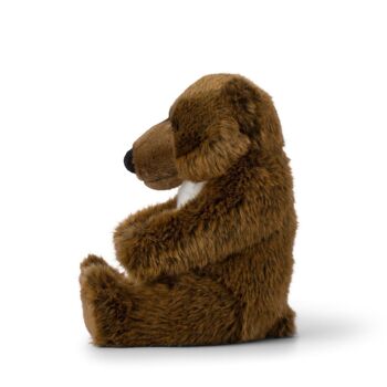 WWF Grizzly assis - 20 cm 2