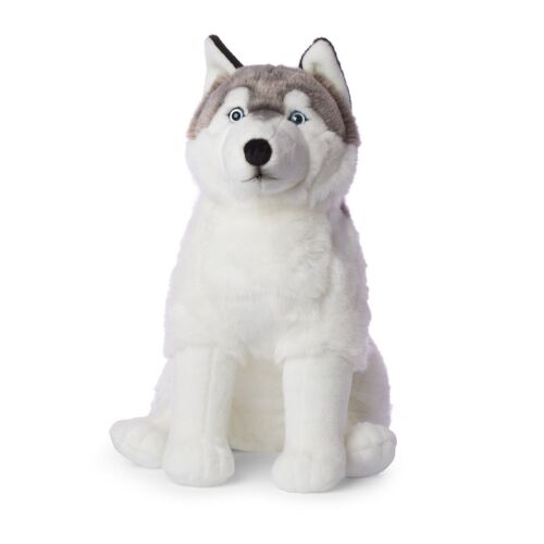 WWF - GEANT - Husky - 70 cm