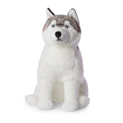 WWF - GIANT - Husky - 70 cm