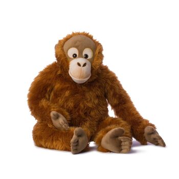 WWF - GEANT - Orang-outang - 100 cm 1