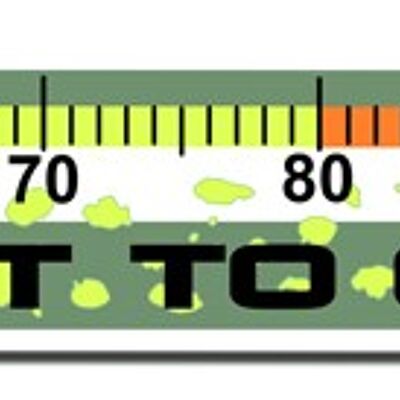 Sticker Pike Measurement cm 156x13