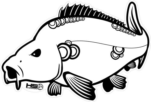 Sticker Carp cm 30x20