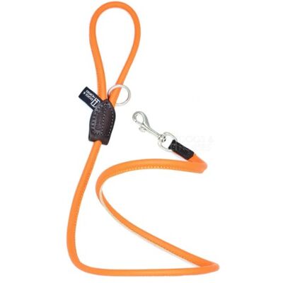D&H Rolled Soft Leather Dog Leash Contemporary Collection