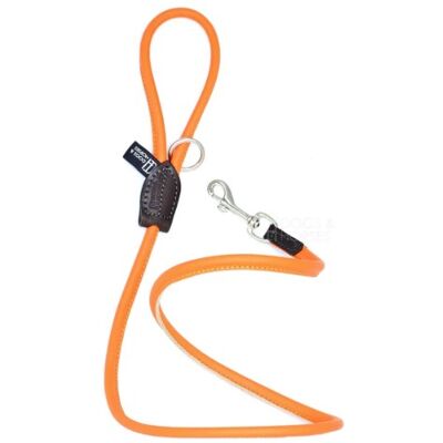 D&H Rolled Soft Leather Dog Leash Contemporary Collection