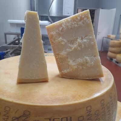 Parmigiano Reggiano DOP - 12 mesi di allevamento precio/kg