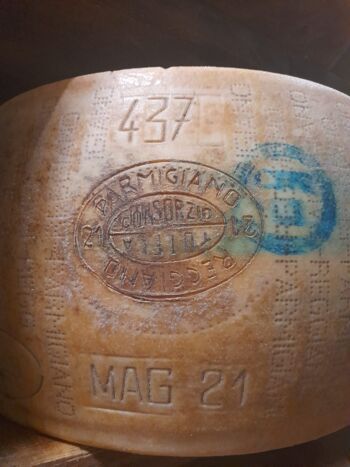 Parmigiano Reggiano DOP - 12 mois de crianza prix/kg 2