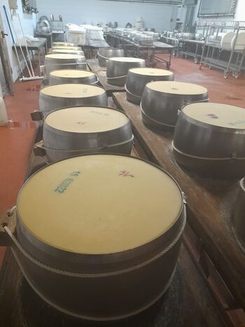 Parmigiano Reggiano DOP - 12 mois de crianza prix/kg 5