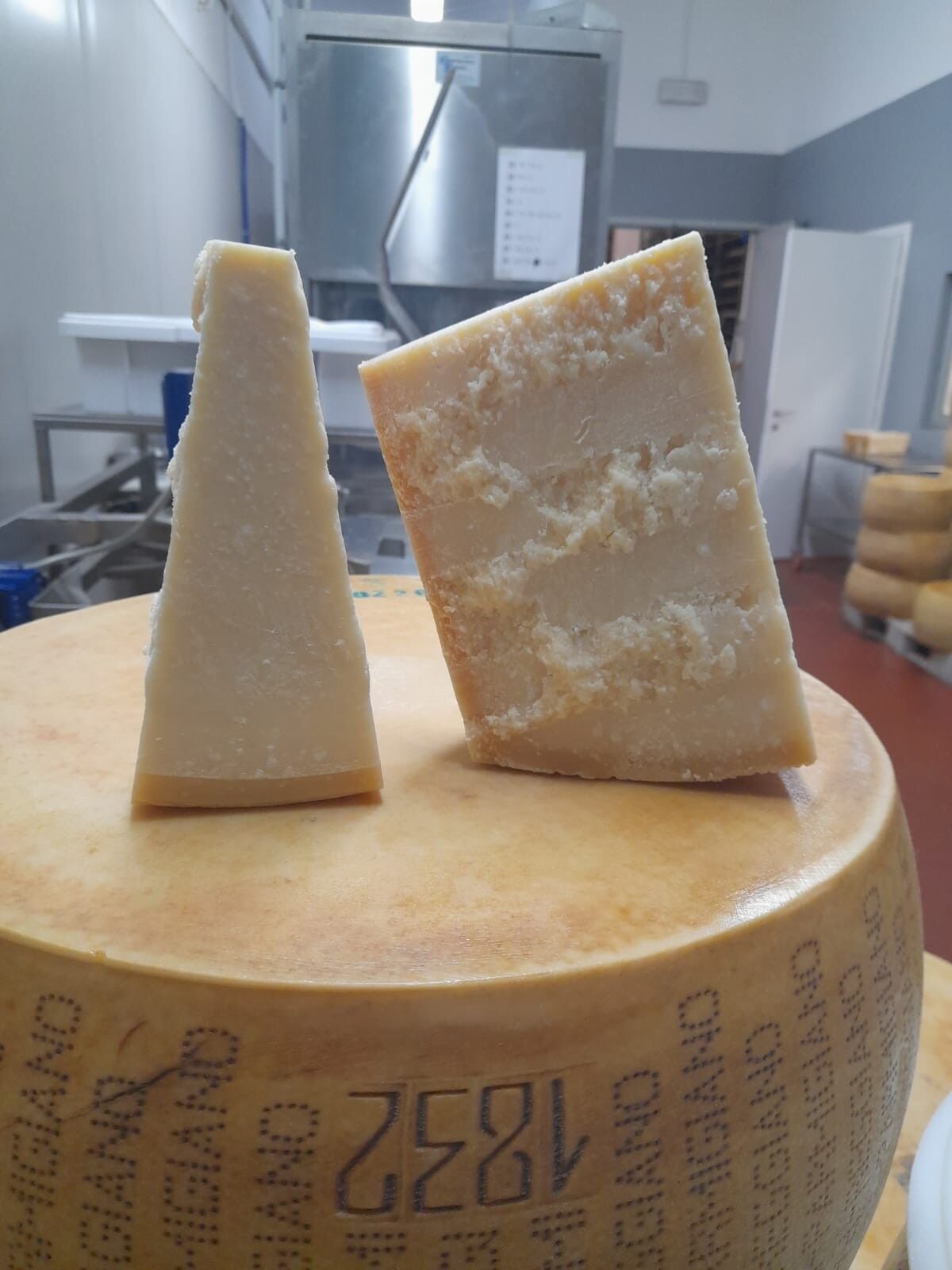 Parmigiano Reggiano DOP 500 gr - 36 meses