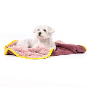 Groc Groc Teddy Pet Couverture Vieux Rose