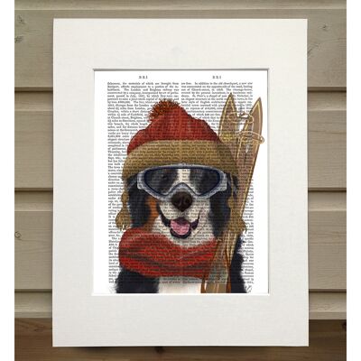 Bernese Ski Dog, Book Print, Art Print, Wall Art