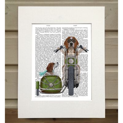 Beagle Chopper and Sidecar, Book Print, Art Print, Wall Art