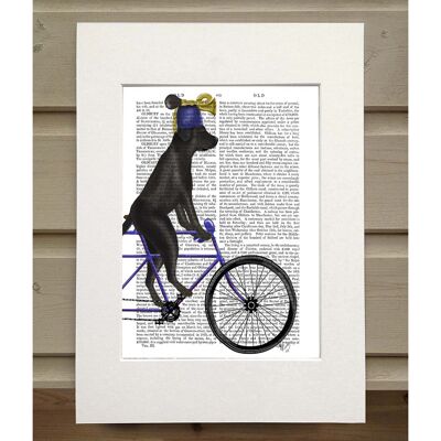 Black Labrador on Bicycle, Book Print, Art Print, Wall Art