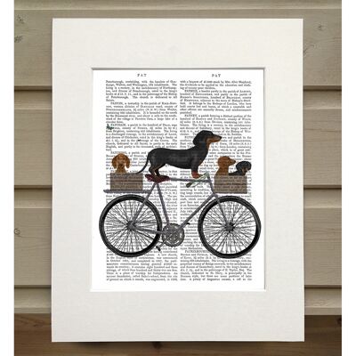 Dachshunds on Bicycle, Book Print, Art Print, Wall Art