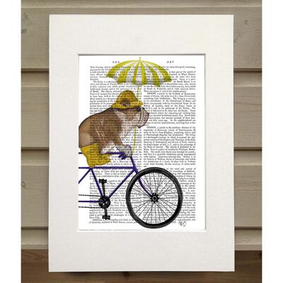 English Bulldog on Bicycle, Book Print, Art Print, Wall Art