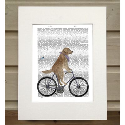 Golden Retriever Bicycle, Book Print, Art Print, Wall Art