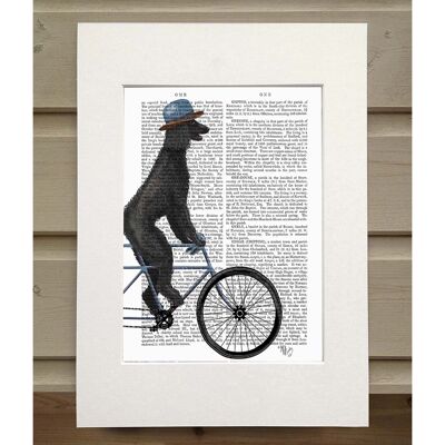 Poodle on Bicycle, Black, Book Print, Art Print, Wall Art