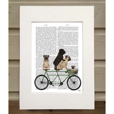 Pug Tandem, Book Print, Art Print, Wall Art