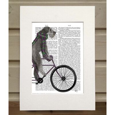 Schnauzer on Bicycle, Grey, Book Print, Art Print, Wall Art