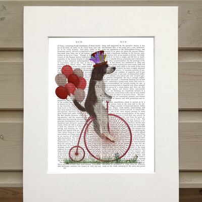 Springer Spaniel Brown and White on Penny Farthing, Book Print, Art Print, Wall Art