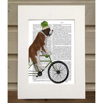 St Bernard on Bicycle, Book Print, Art Print, Wall Art