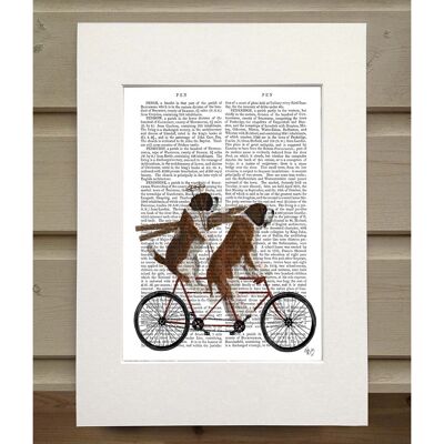 St Bernard Tandem, Book Print, Art Print, Wall Art