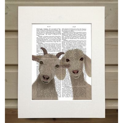 Goat Duo, Looking at You, Book Print, Art Print, Wall Art