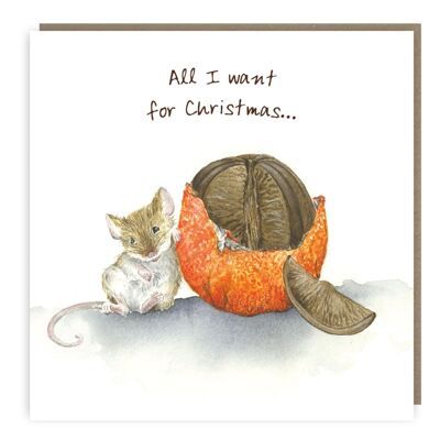 All I want for Christmouse Greeting Card
