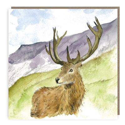 Cartolina d'auguri del cervo delle Highland