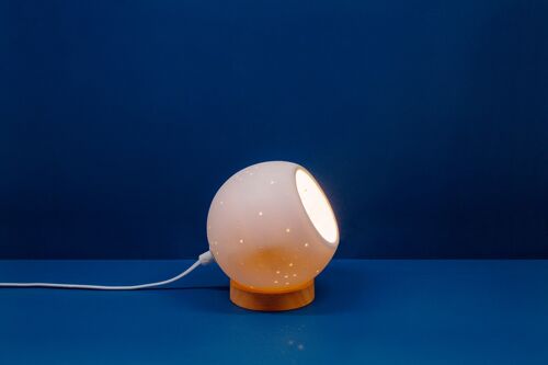 Porcelain Table Lamp with a wooden base