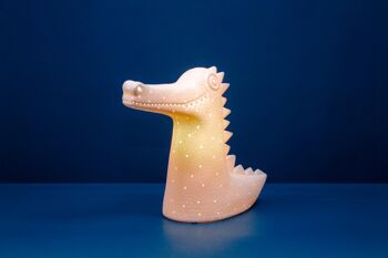 Veilleuse crocodile pour enfants 2