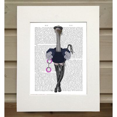Ostrich with Kinky Boots, Book Print, Art Print, Wall Art