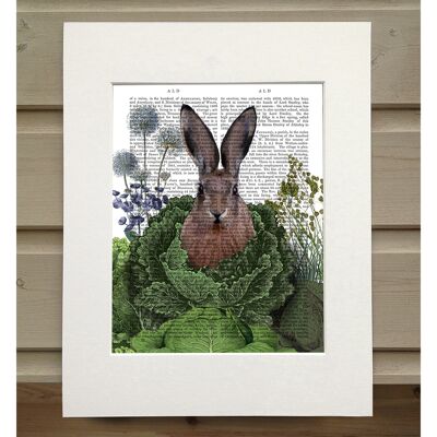 Cabbage Patch Rabbit 1, Book Print, Art Print, Wall Art
