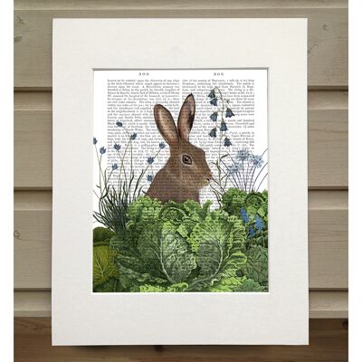 Cabbage Patch Rabbit 2, Book Print, Art Print, Wall Art