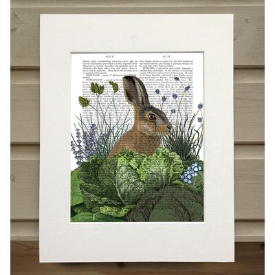 Cabbage Patch Rabbit 3, Book Print, Art Print, Wall Art
