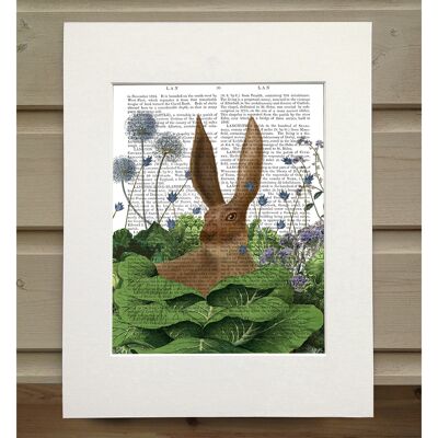 Cabbage Patch Rabbit 5, Book Print, Art Print, Wall Art