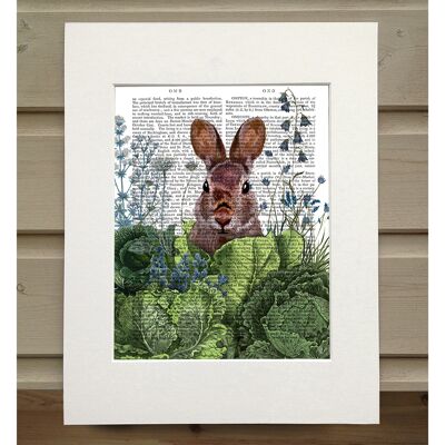 Cabbage Patch Rabbit 6, Book Print, Art Print, Wall Art