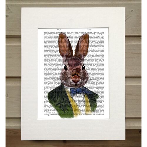 Rabbit in Green Jacket, Book Print, Art Print, Wall Art