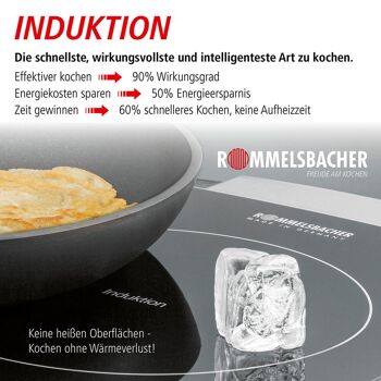 Induction simple plaque chauffante 4