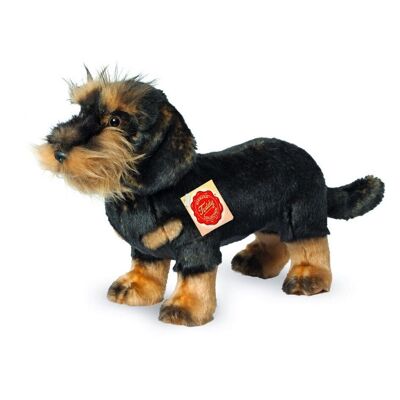 Wire-haired dachshund standing 28 cm - soft toy - soft toy