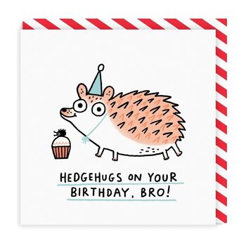 Anniversaire Hedgehugs Bro 2