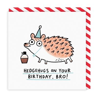 Igel Geburtstag Bro