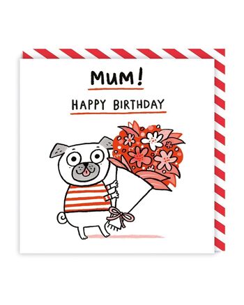 Carte de vœux carlin joyeux anniversaire maman (7173)