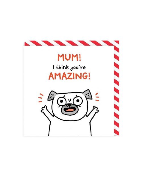 Mum I think you're Amazing! Greeting Card (5956)