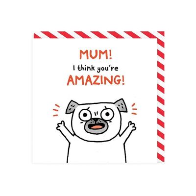 Mum I think you're Amazing! Greeting Card (5956)