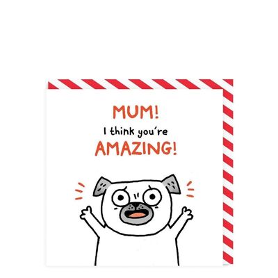 Mum I think you're Amazing! Greeting Card (5956)