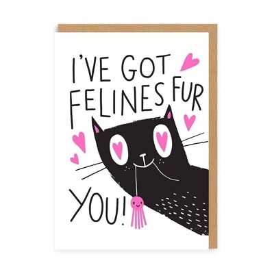 I've Got Felines For You