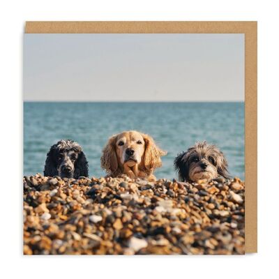 Biglietto d'auguri quadrato con tre cani da spiaggia (4849)