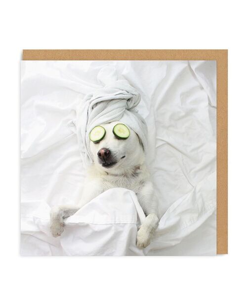 Pampered Pooch Square Greeting Card (3761)
