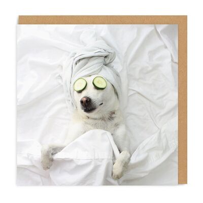 Pampered Pooch Square Greeting Card (3761)