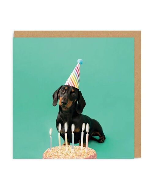 Scout Party Hat Greeting Card (3765)
